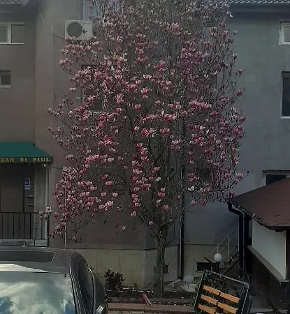 Vila Summer Rain בית הארחה