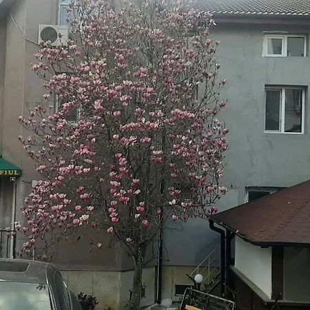Vila Summer Rain